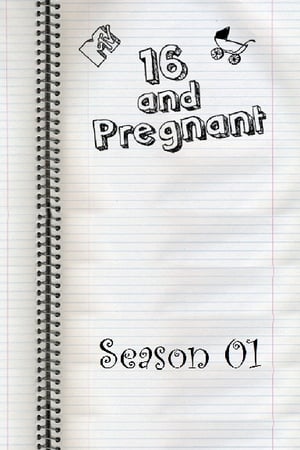 16 and Pregnant Season  1 online