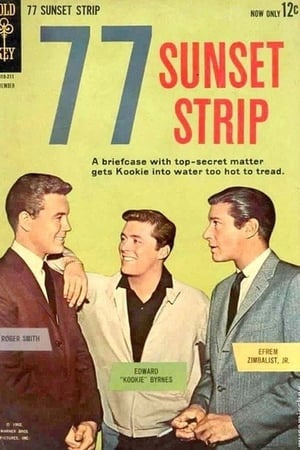 77 Sunset Strip Season  1 online