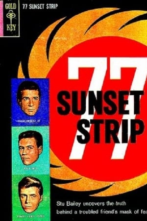 77 Sunset Strip Season  2 online