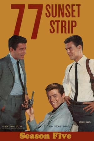 77 Sunset Strip Season  5 online