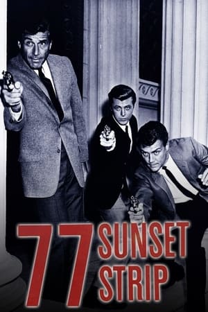 77 Sunset Strip online free