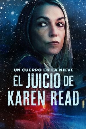 A Body in the Snow: The Trial of Karen Read Season  1 online