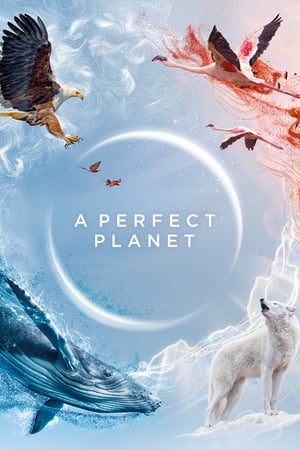 A Perfect Planet Online free