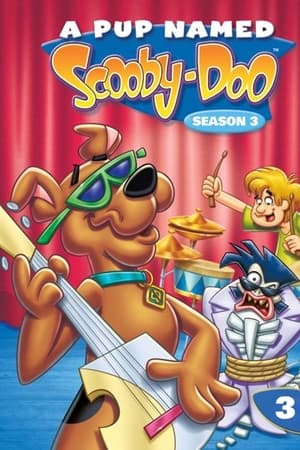 A Pup Named Scooby-Doo Season  3 online