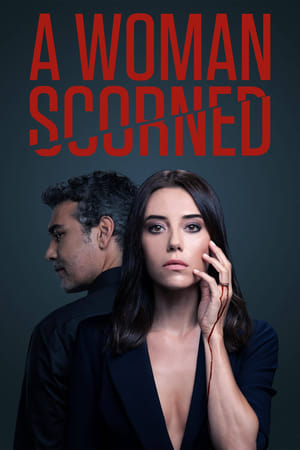 A Woman Scorned Season  1 online