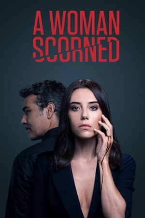 A Woman Scorned Season  2 online