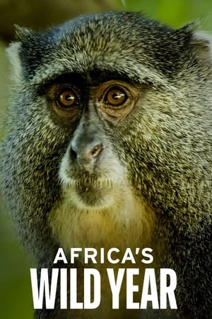 Africa's Wild Year online free