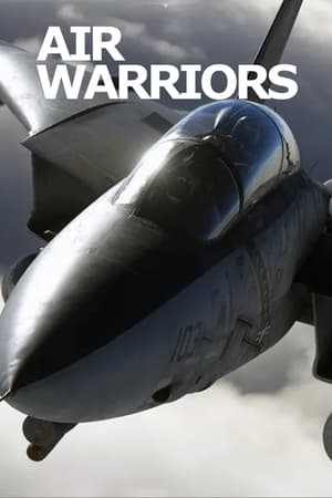 Air Warriors T 11 C 5 online gratis