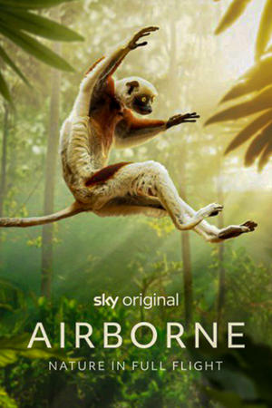 Airborne Online free