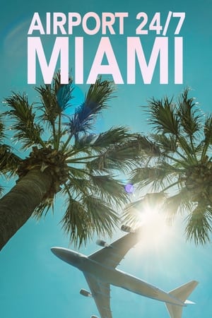 Airport 24/7: Miami online free