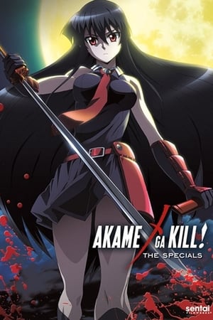 Akame ga Kill! Season  0 online