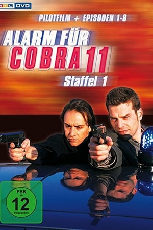 Alarm for Cobra 11: The Motorway Police Season  1 online