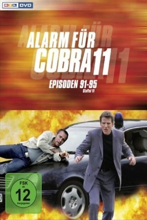 Alarm for Cobra 11: The Motorway Police T 13 C 3 online gratis