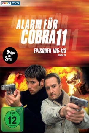 Alarm for Cobra 11: The Motorway Police T 15 C 4 online gratis