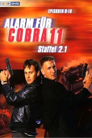 Alarm for Cobra 11: The Motorway Police T 2 C 6 online gratis