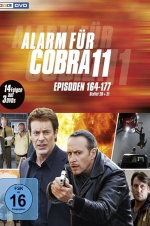 Alarm for Cobra 11: The Motorway Police Season  20 online