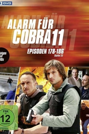 Alarm for Cobra 11: The Motorway Police Season  24 online