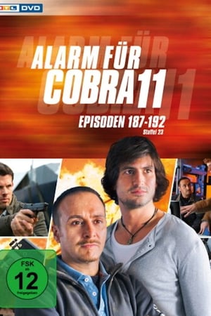 Alarm for Cobra 11: The Motorway Police Season  25 online