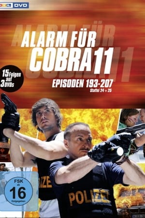 Alarm for Cobra 11: The Motorway Police Season  26 online