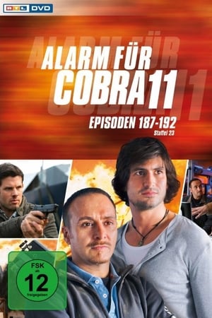 Alarm for Cobra 11: The Motorway Police Season  28 online