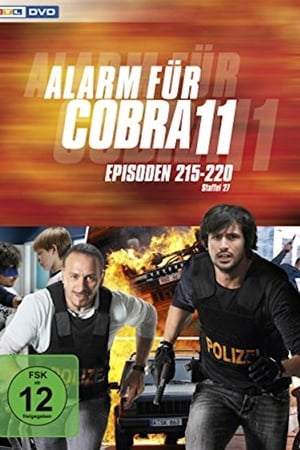 Alarm for Cobra 11: The Motorway Police Season  29 online