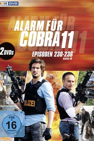 Alarm for Cobra 11: The Motorway Police Season  31 online