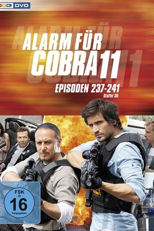 Alarm for Cobra 11: The Motorway Police Season  32 online