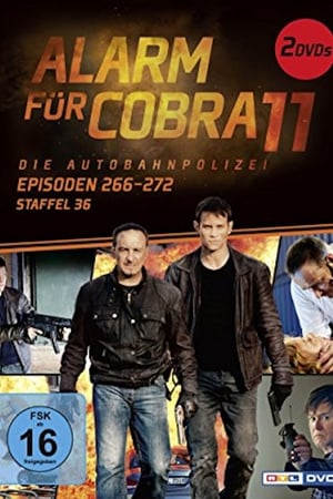 Alarm for Cobra 11: The Motorway Police Season  36 online