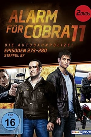 Alarm for Cobra 11: The Motorway Police Season  37 online