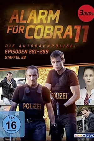 Alarm for Cobra 11: The Motorway Police Season  38 online