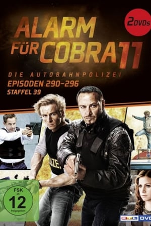 Alarm for Cobra 11: The Motorway Police Season  39 online