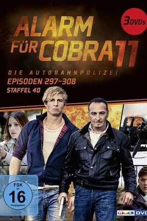 Alarm for Cobra 11: The Motorway Police Season  40 online