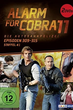 Alarm for Cobra 11: The Motorway Police Season  41 online