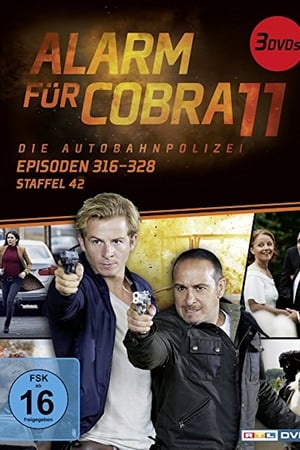 Alarm for Cobra 11: The Motorway Police Season  42 online