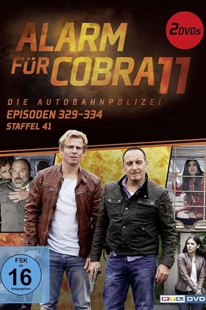 Alarm for Cobra 11: The Motorway Police Season  43 online