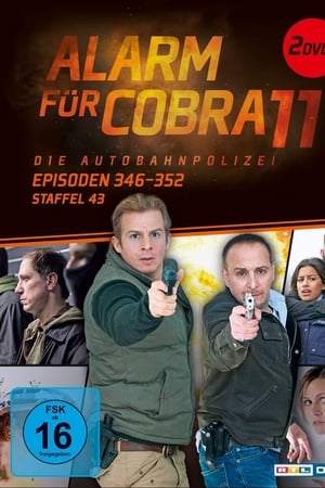 Alarm for Cobra 11: The Motorway Police Season  45 online