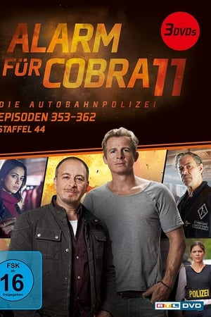 Alarm for Cobra 11: The Motorway Police Season  46 online