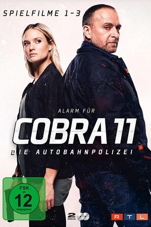 Alarm for Cobra 11: The Motorway Police Season  49 online