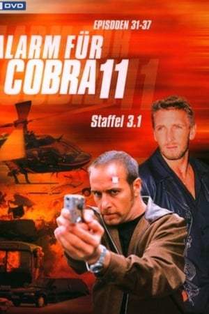 Alarm for Cobra 11: The Motorway Police Season  5 online