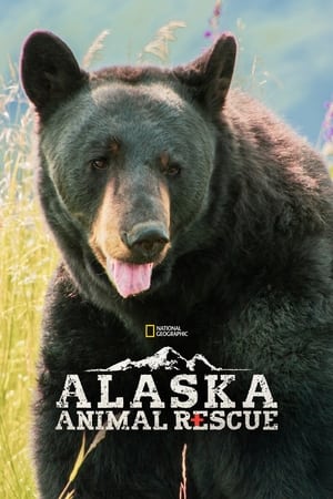 Alaska Animal Rescue Season  2 online