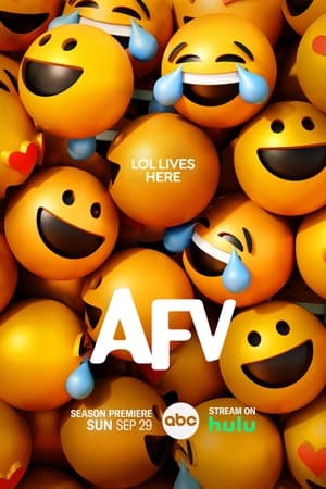 America's Funniest Home Videos Season  35 online