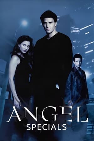 Angel Season  0 online