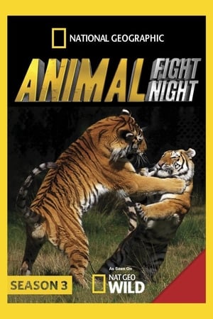 Animal Fight Night Season  3 online