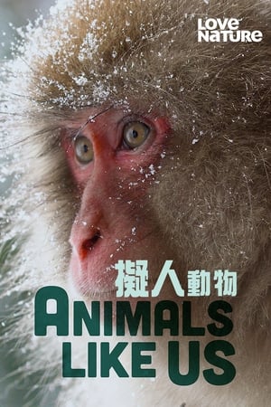 Animals Like Us online free