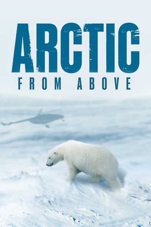 Arctic From Above online free