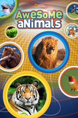 Awesome Animals Season  1 online