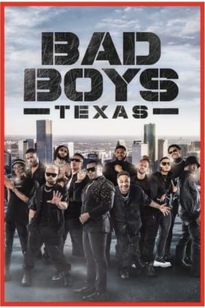 Bad Boys Texas Online free