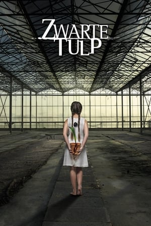 Black Tulip Season  1 online