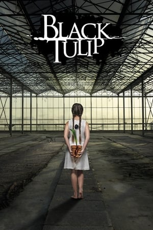 Black Tulip online free