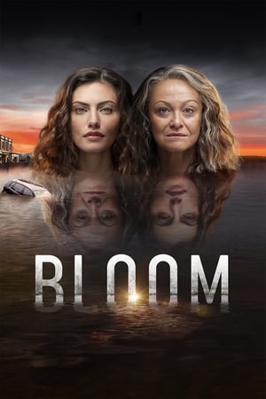 Bloom online free